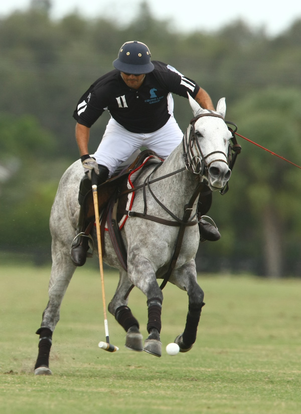 Polo PhotosUSPA National 20-goal 6