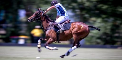 WPC Polo Argie