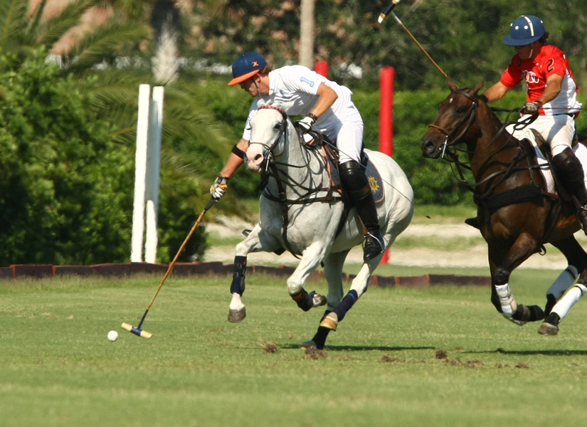 audi polo team elg polo team